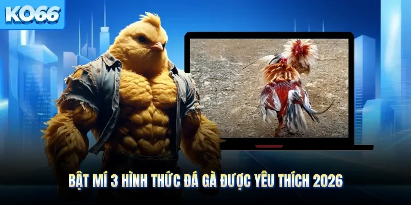 Bật mí 3 hình thức đá gà được yêu thích 2026