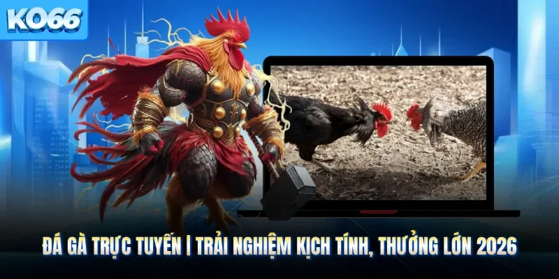 Đá Gà Trực Tuyến | Trải Nghiệm Kịch Tính, Thưởng Lớn 2026