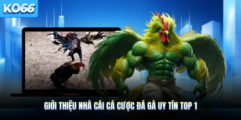 Giới thiệu nhà cái cá cược đá gà uy tín top 1
