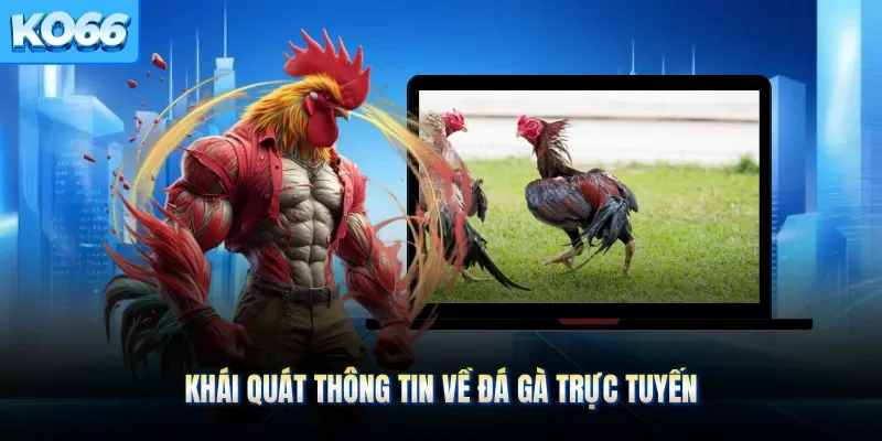 Khái quát thông tin về đá gà trực tuyến 