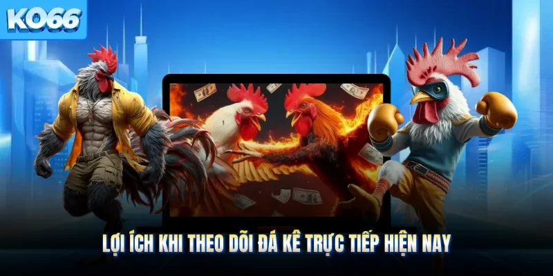 Lợi ích khi theo dõi đá kê trực tiếp hiện nay