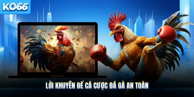 Lời khuyên để cá cược đá gà an toàn