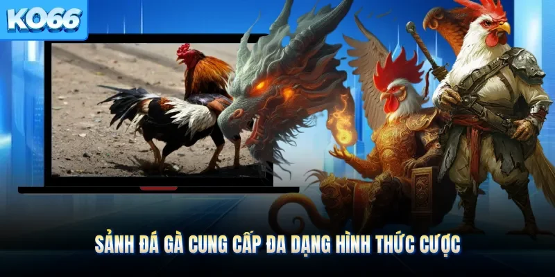 Sảnh đá gà cung cấp đa dạng hình thức cược